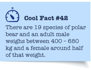 Cool Fact Cool Fact