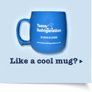 Free Mug Free Mug